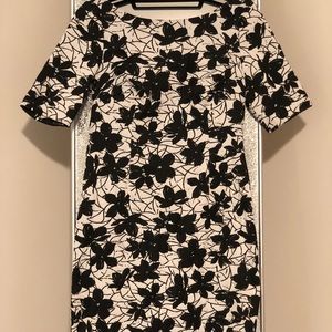 Calvin Klein Midi dress